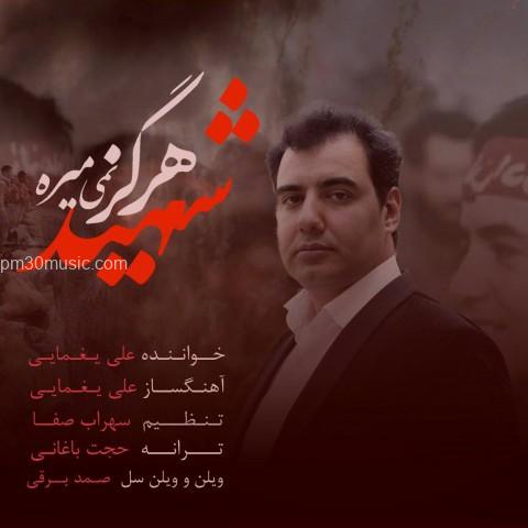 دانلود آهنگ علی یغمایی به نام شهید هرگز نمی میره