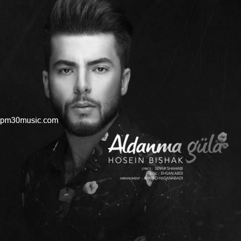 دانلود آهنگ حسین بی شک به نام آلدانما گوله