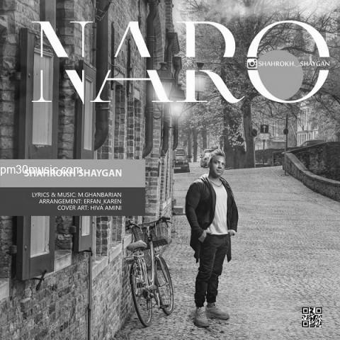 دانلود آهنگ شاهرخ شایگان به نام نرو