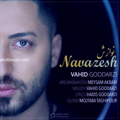 دانلود آهنگ وحید گودرزی به نام نوازش