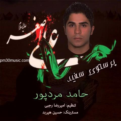 دانلود آهنگ حامد مردپور به نام پرستوی سفید