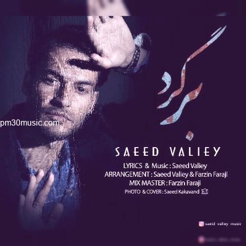 دانلود آهنگ سعید ولیی به نام برگرد