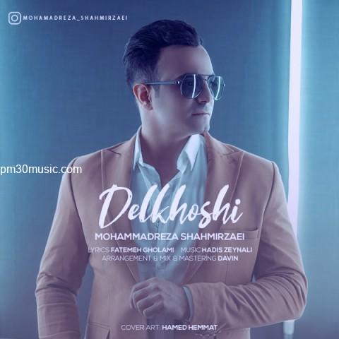 دانلود آهنگ محمدرضا شاهمیرزایی به نام دلخوشی