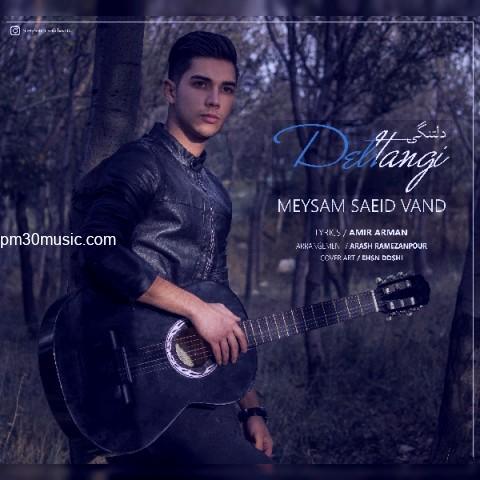 دانلود آهنگ میثم سعیدوند به نام دلتنگی
