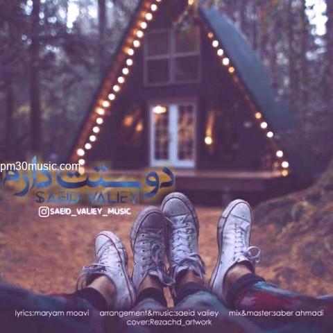 دانلود آهنگ سعید ولیی به نام دوست دارم