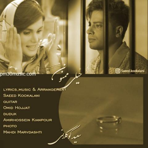 دانلود آهنگ سعید کوکلانی به نام خیلی ممنون