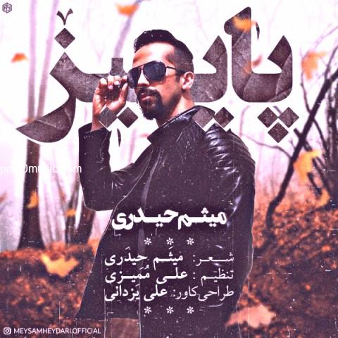 دانلود آهنگ میثم حیدری به نام پاییز