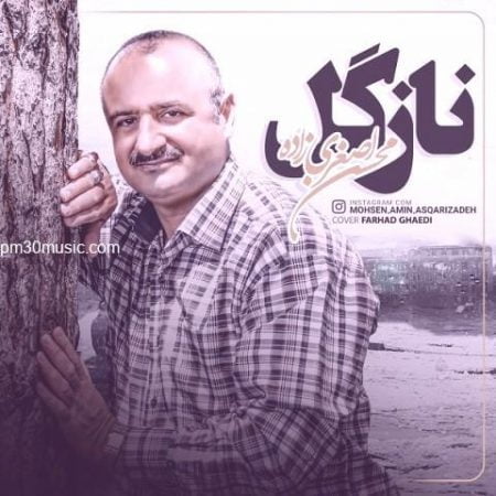 دانلود آهنگ محسن اصغری زاده به نام نازگل