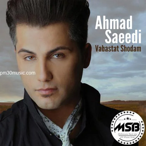 احمد سعیدی دلتنگی