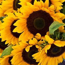 دانلود آهنگ قدیمی چهل ساله یه کابوس نمیذاره بخوابیم