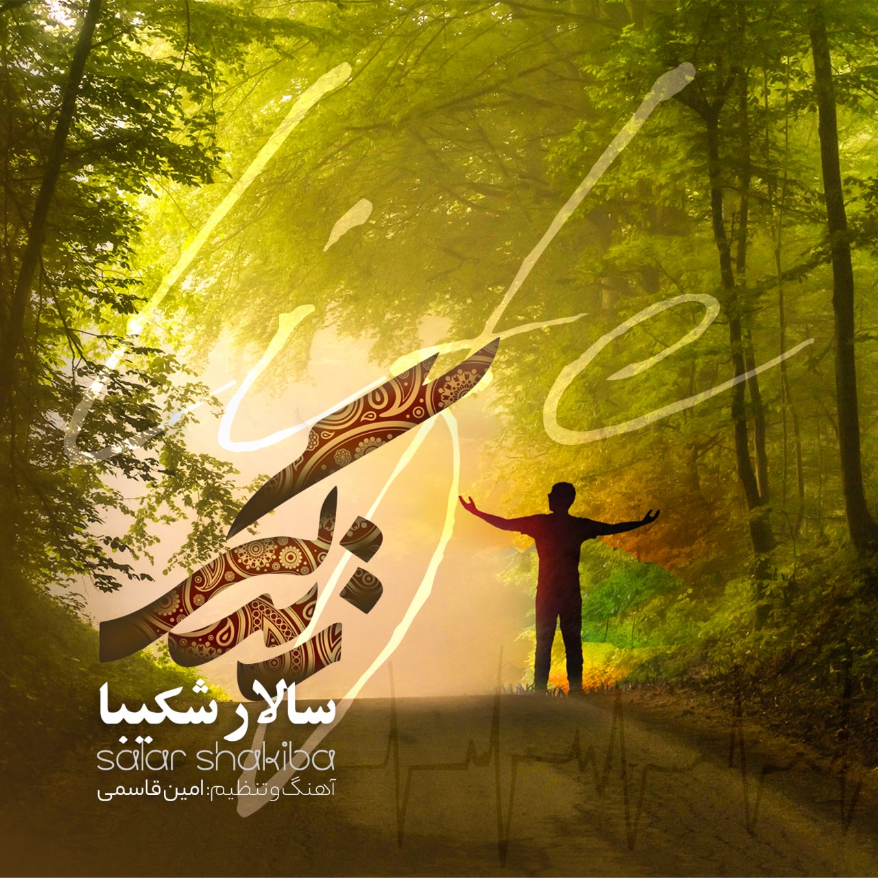 سالار شکیبا زندگی