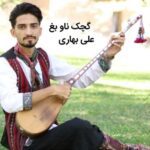 دانلود آهنگ کرمانجی علی بهاری به نام گچک ناو بغ