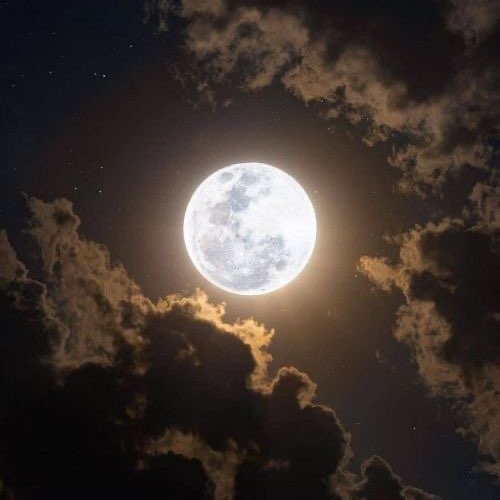 آهنگ با هزار بدبختی تا الان زنگ نزدم بدبخت کرد غرور منو 
