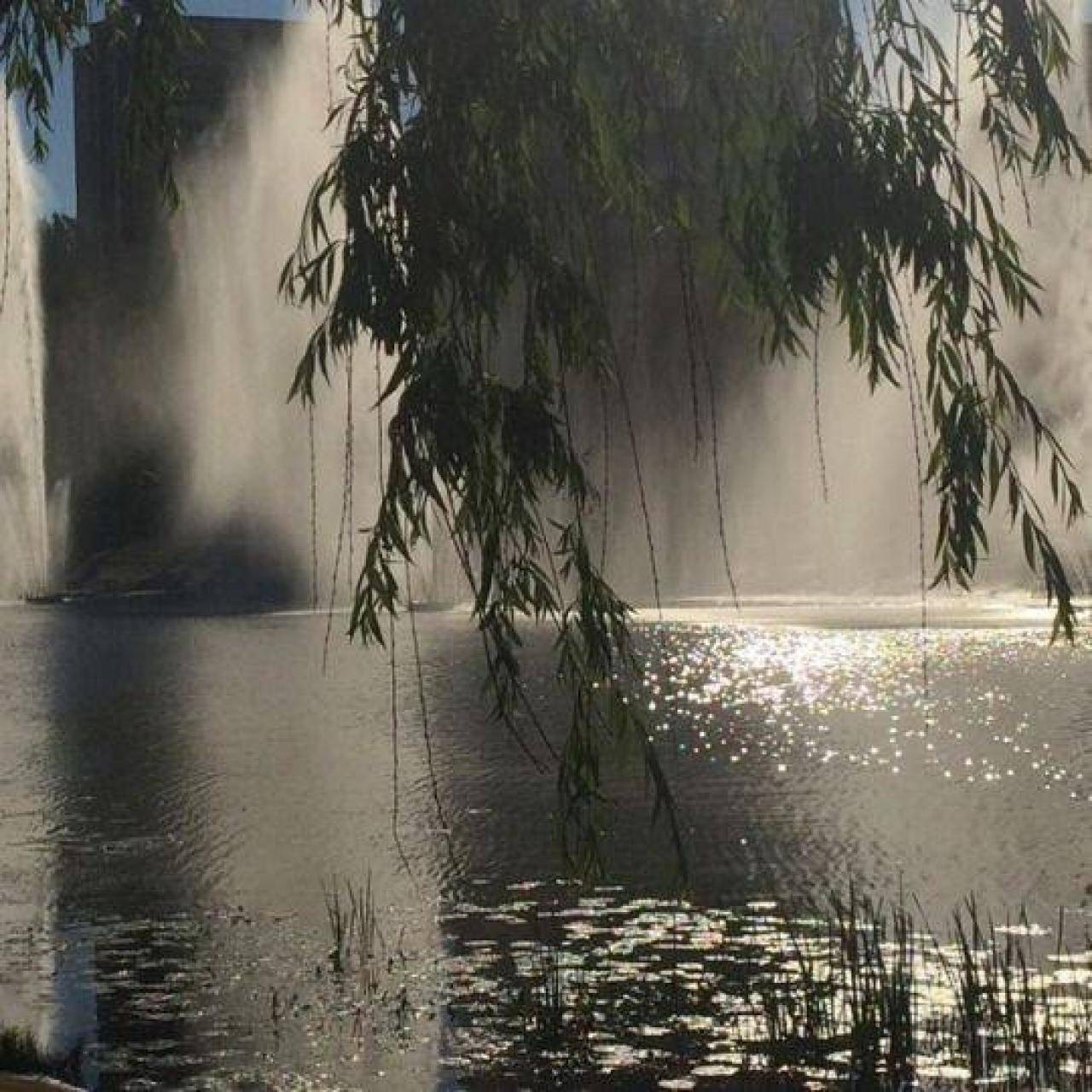 آهنگ کاور داغ یک عشق قدیمو اومدی زنده کردی از یوسف زمانی 
