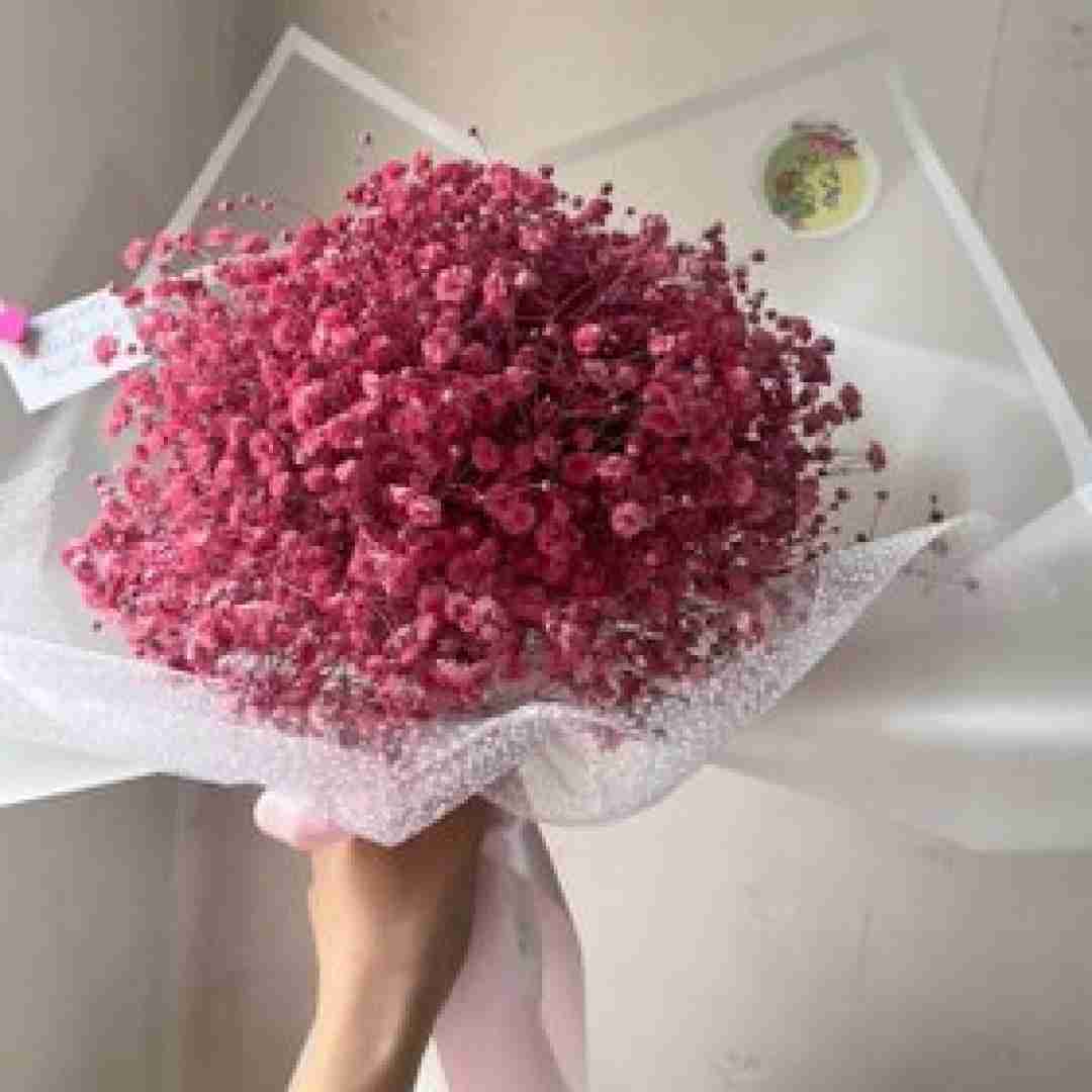 آهنگ عجب حال بدی دل چقد گرفته با صدای باب اسفنجی 