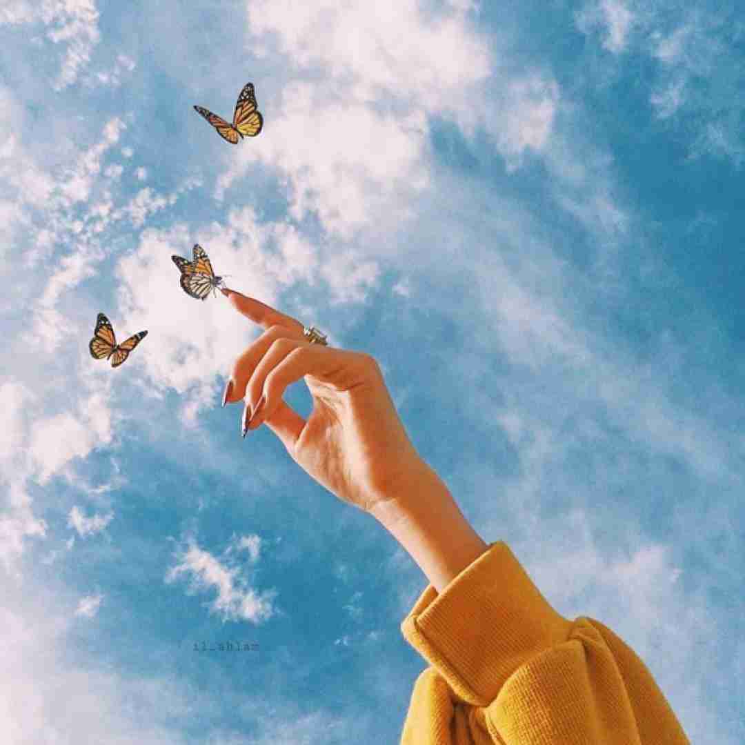 آهنگ چرا داری باشم بد حرف میزنی با صدای باب اسفنجی 