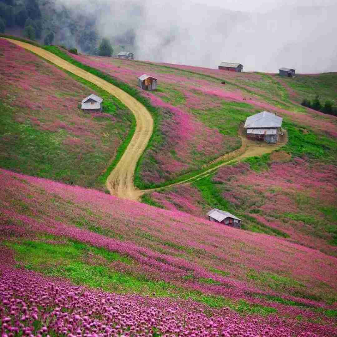 آهنگ کجا باید برم که تو هر ثانیم تو رو اونجا نبینم با صدای شادمهر 