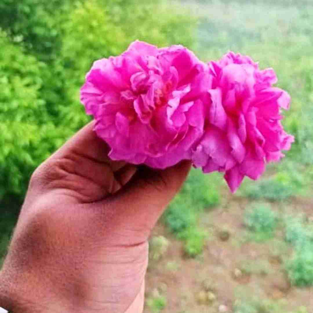 آهنگ رفتی با کی بد سلیقه اینو بدون بد‌ زدی بم با صدای دختر اینستایی 