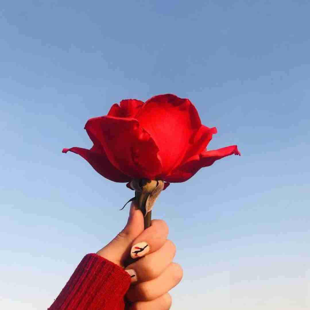 آهنگ میگفتم نباشم میگفتی نمیشه میکشیدی یه قلب با صدای دختر 