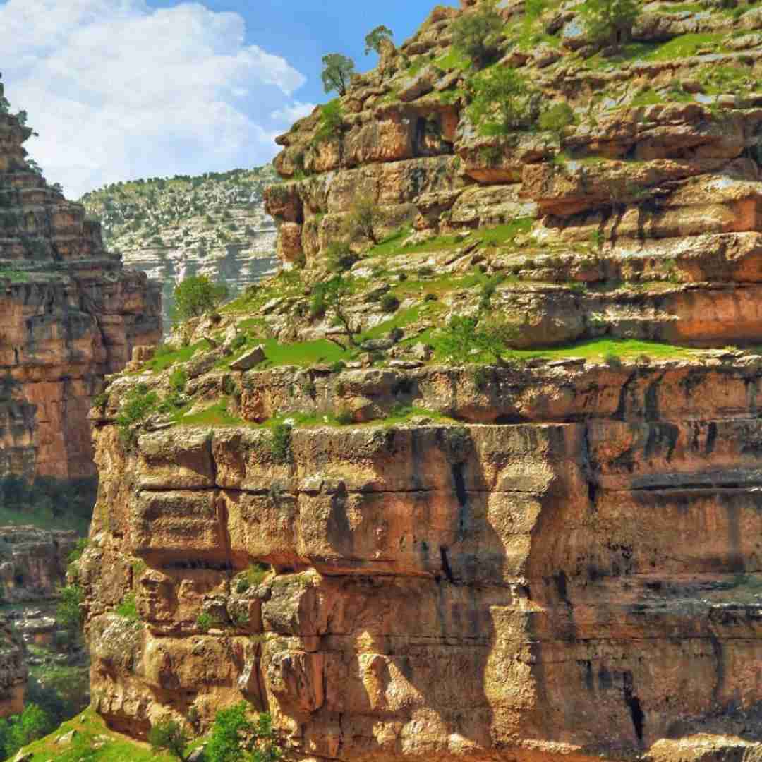 آهنگ دل بهت ندادم ذلیل پاره شم نباشی با صدای پاتریک 