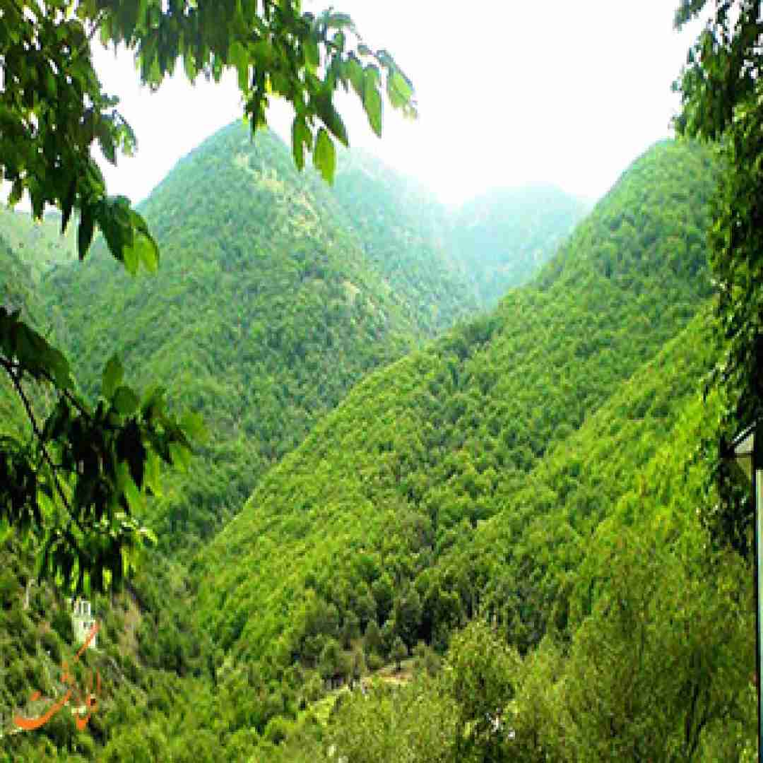 آهنگ وه قرآنگه مال سید کاظم نه تو دی 