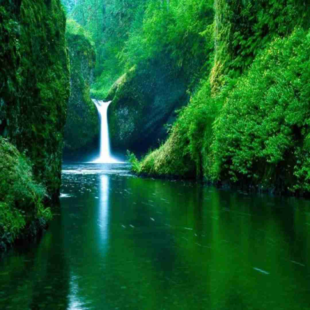 آهنگ آشنای من من غریبم بی تو با صدای دختر اینستایی 