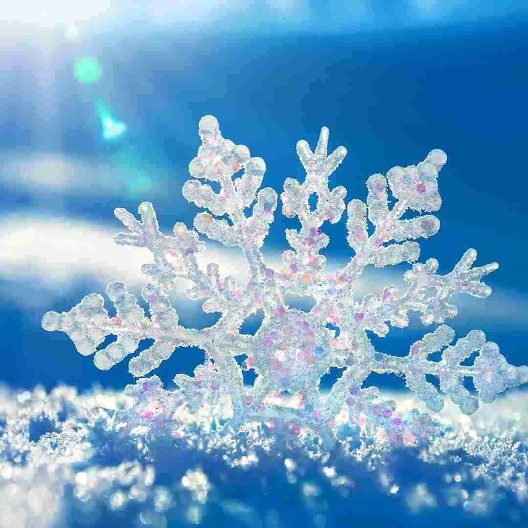 آهنگ چالش شبای خوابگاه دانشجویی 
