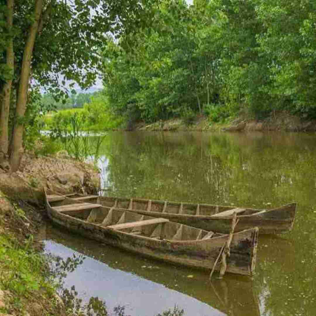 آهنگ رفیقای ماشی منو دیدی نگو حاجی گل بپیچیم 