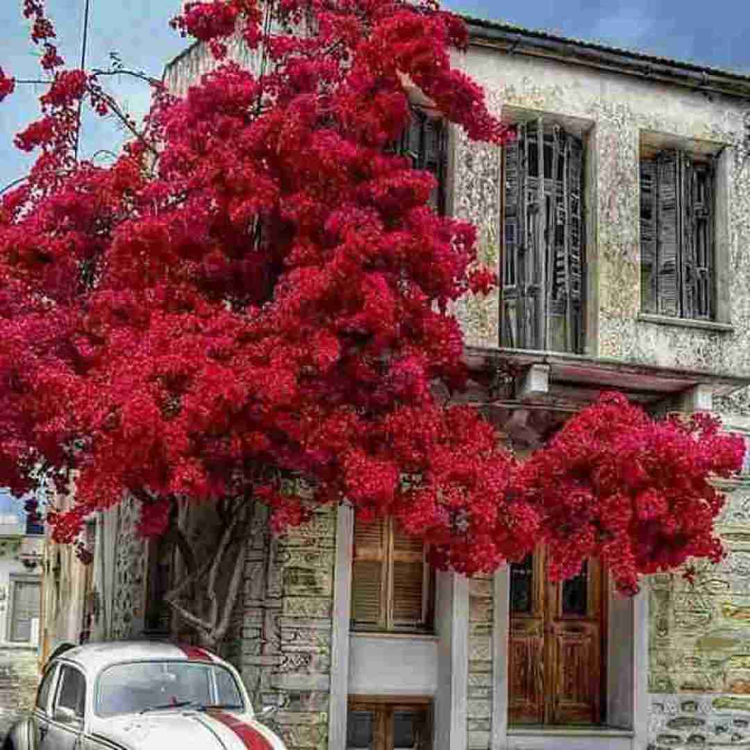 آهنگ بوک میشه فرست کلاس ایرلاین با صدای رزی 