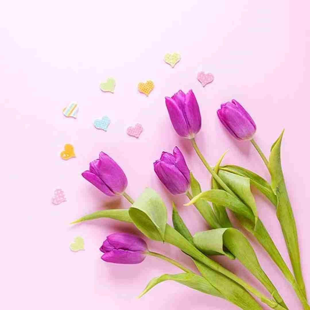 آهنگ تلخم همچو شراب با صدای رونالدو 