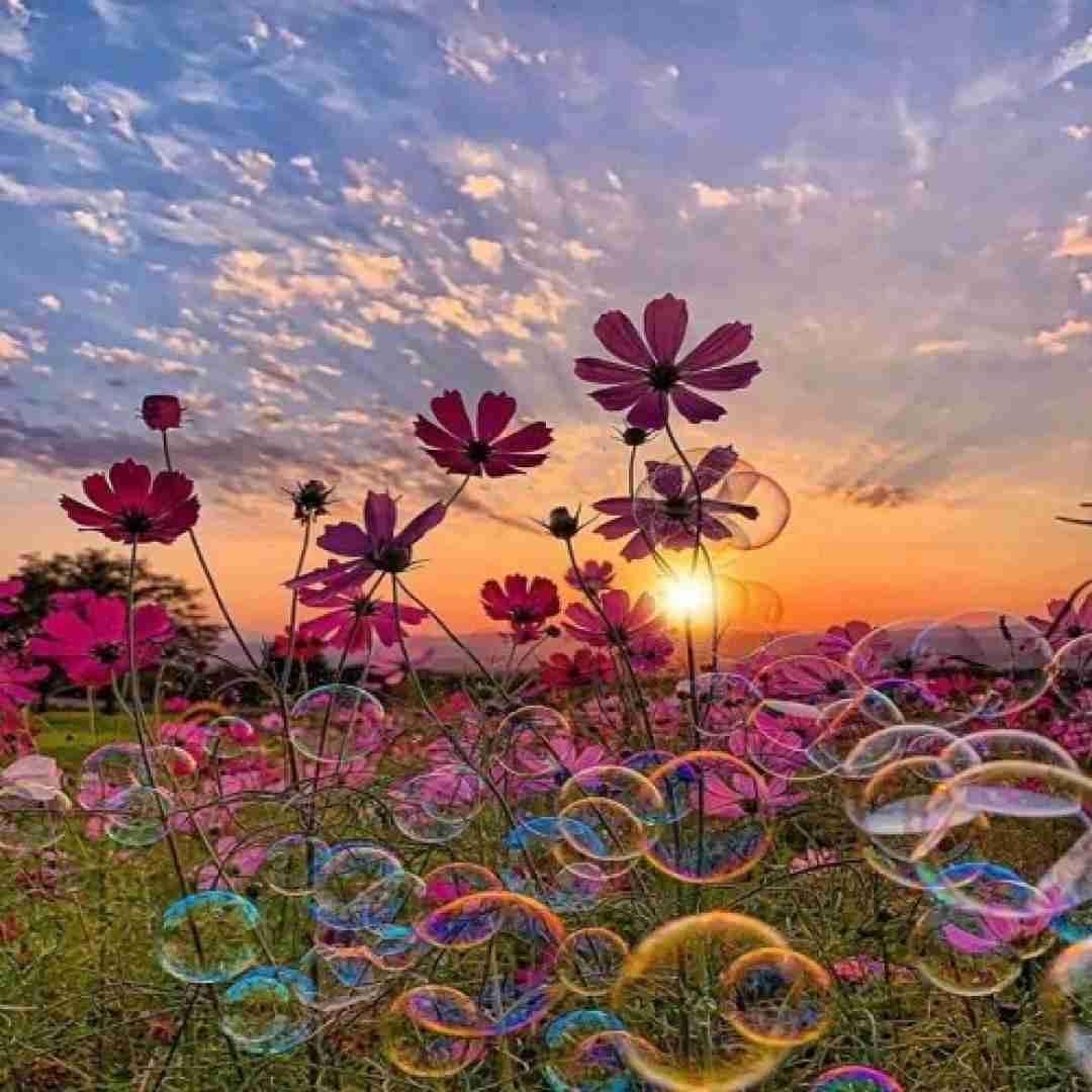 آهنگ میخوام بخونم بغضی توی گلومه با صدای پسر دبستانی 