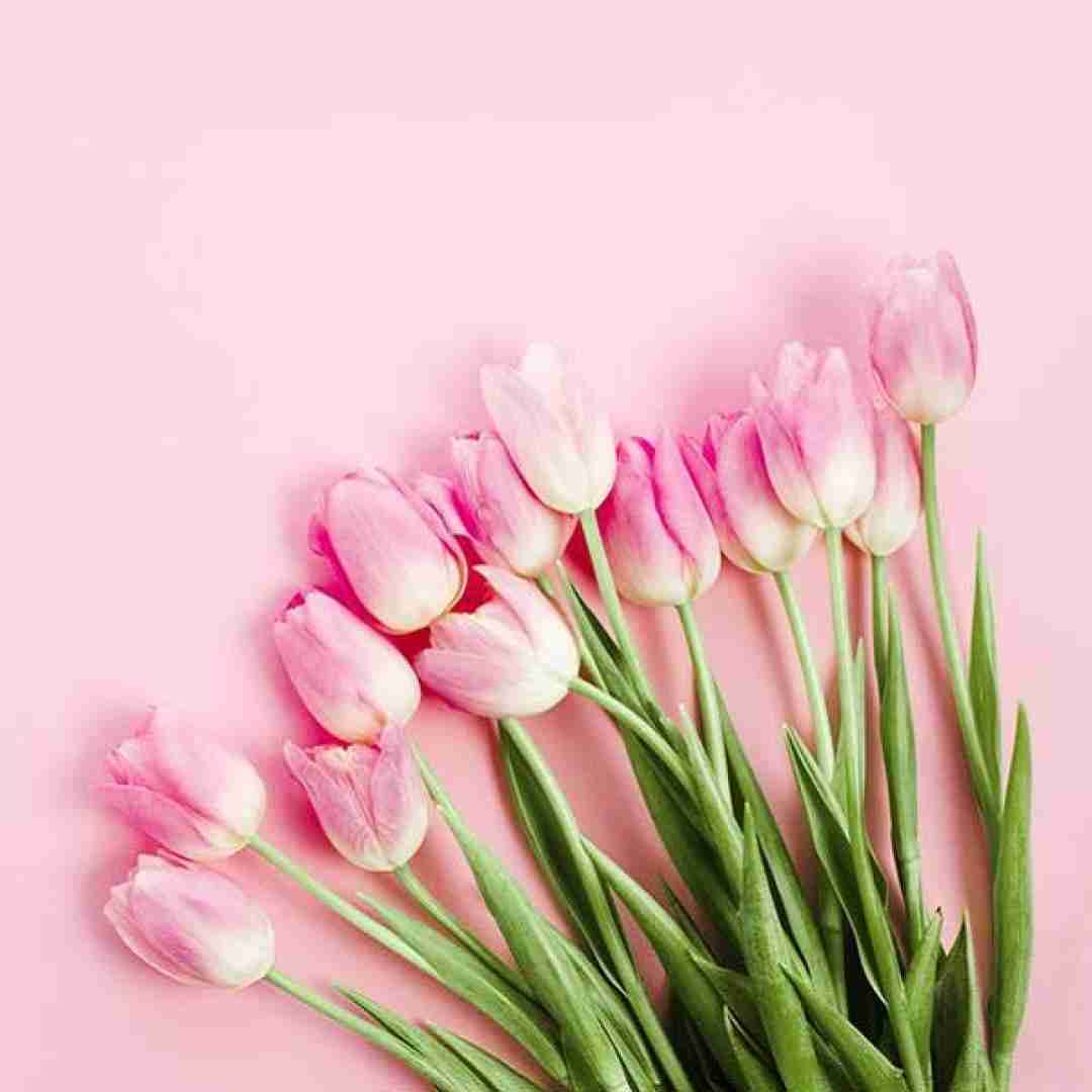 آهنگ پناه میبرم به خنده های تو که درد دل کنم با صدای مهستی هوش مصنوعی 