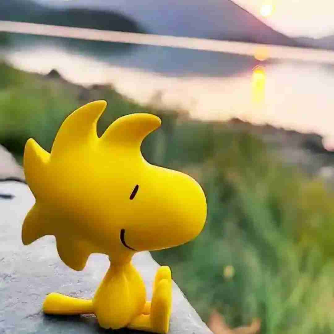 آهنگ مو فرفری خاله جان قربون - اجرای گروهی 