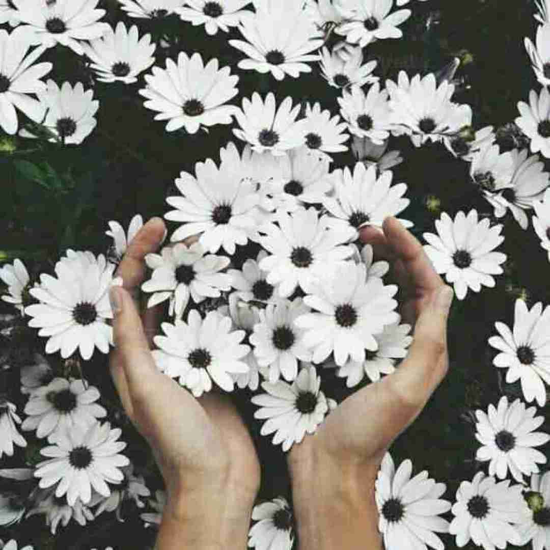 آهنگ آدما عوضین تو عوضی تر با صدای دختر 