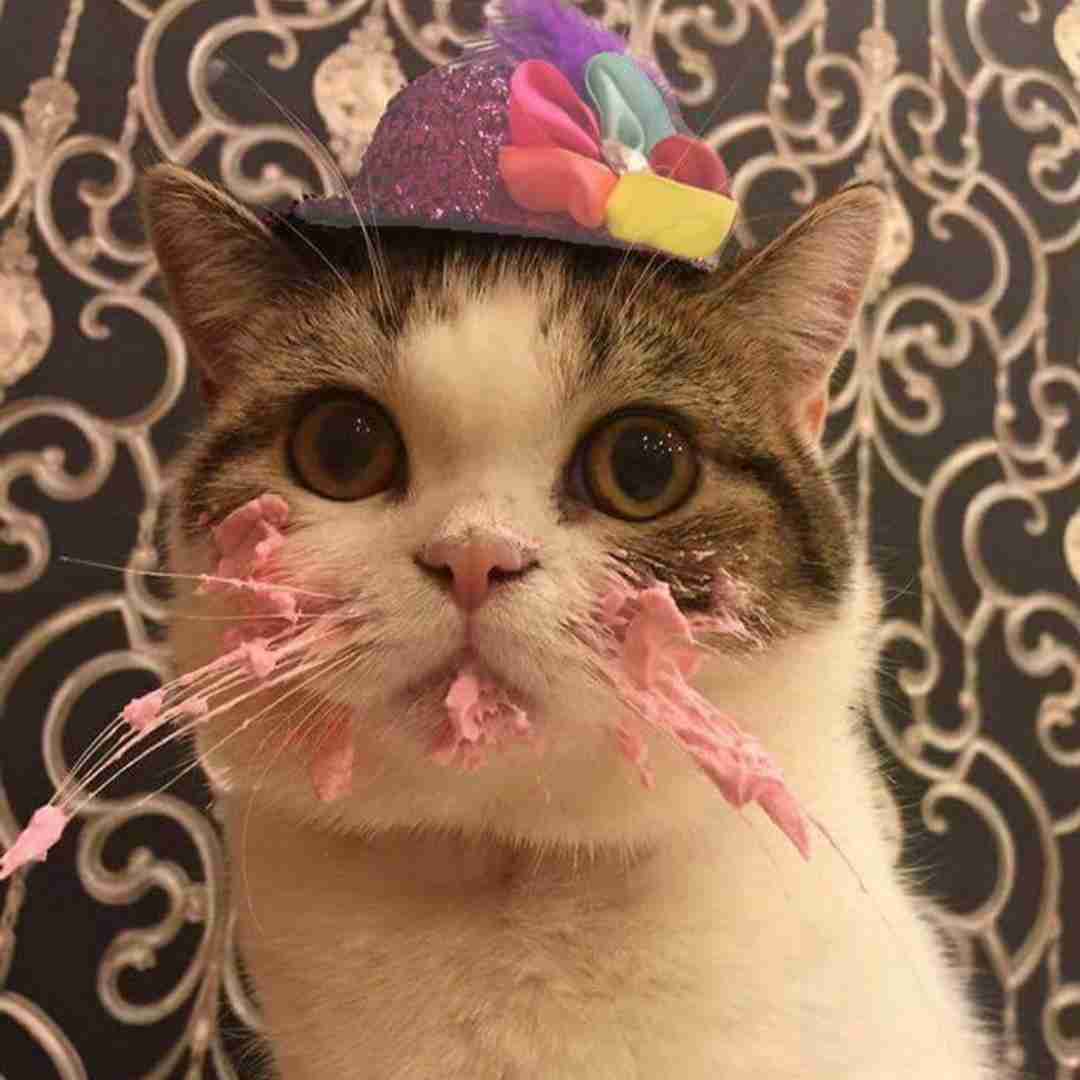 آهنگ تولدته ولی باشه مبارک من قول بده با صدای زن 