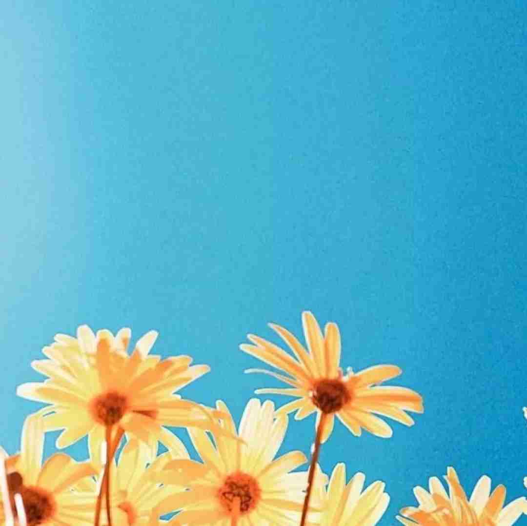 آهنگ سیگار میخوام وینستون خمار خمارم 