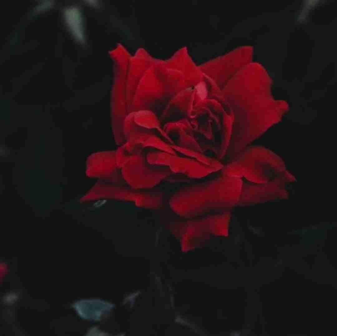 آهنگ به ممد پا بده همیشه ممد اگه دلش بشکنه 