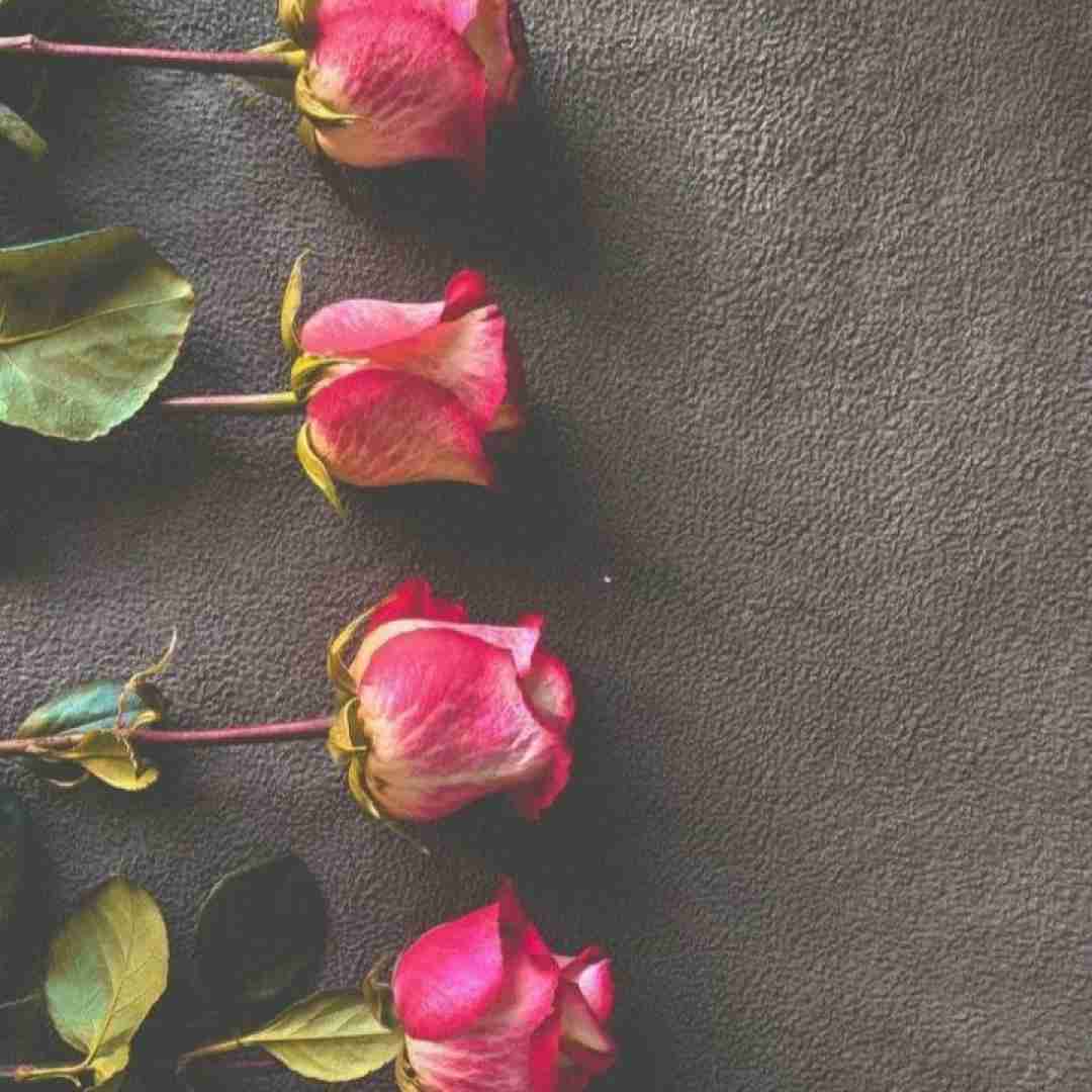 آهنگ تو آستین خودم یه روز مارم منو زد 