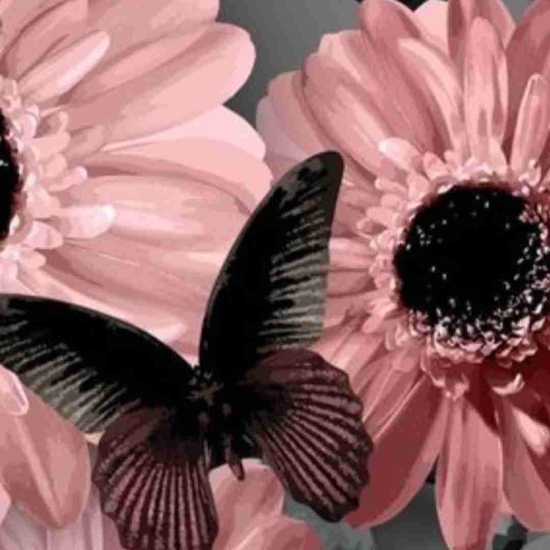 آهنگ بی تو تنهای تنها سکوتی بر لبانم با صدای زن 