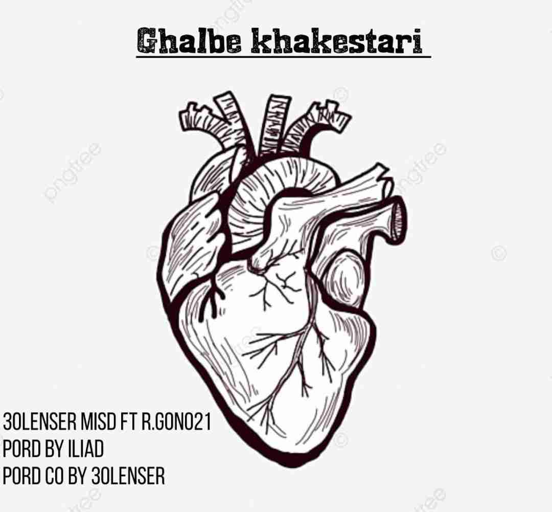 دانلود آهنگ قلب خاکستری سیلنسر ام ای اس دی فیت آرگون