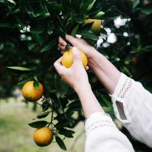 آهنگ مهره ی مار چشات عالمی داره چشات با صدای زن 