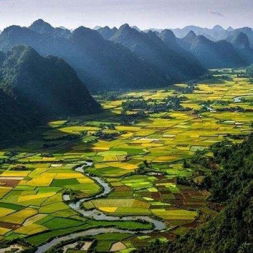 آهنگ تاقی به سرت تاقی شاهی به سرت 