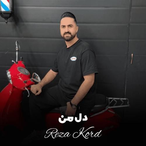 آهنگ دل من رضا کرد