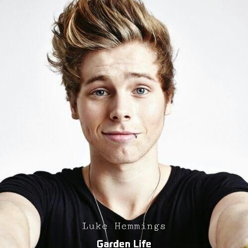 دانلود آهنگ Garden Life Luke Hemmings