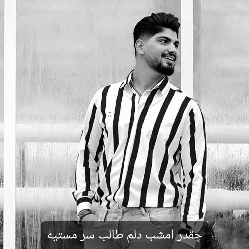 آهنگ چقدر امشب دلم طالب سر مستیه امیر فضلی