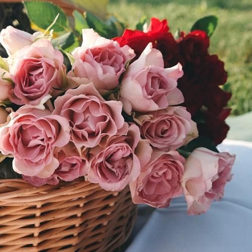 آهنگ ای دلبر من الهی صد ساله شوی با صدای دختر 