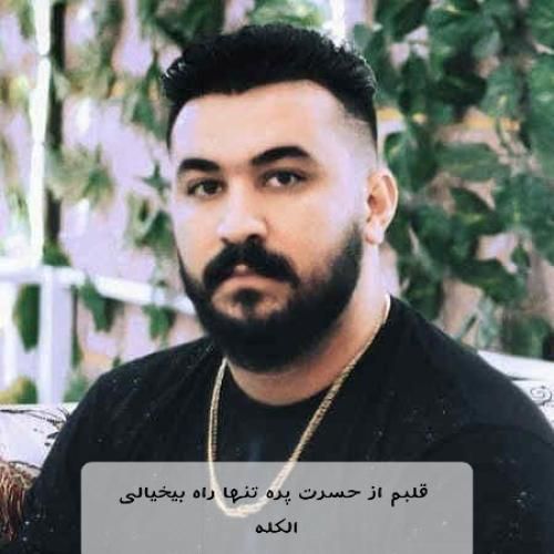 آهنگ  قلبم از حسرت پره تنها راه بیخیالی الکله رضا کرمی تارا