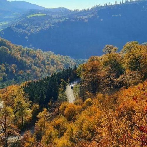 آهنگ ای یار عاشق بونی عاقل چه نوونی بانو بانو جانم با صدای زن 