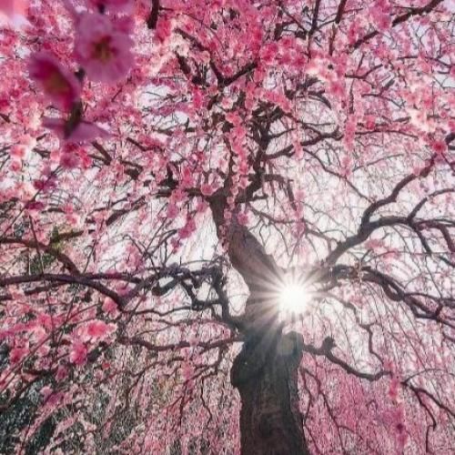 آهنگ تگرگ بیاد سنگ بیاد نمیتونه حال منو بد کنه 
