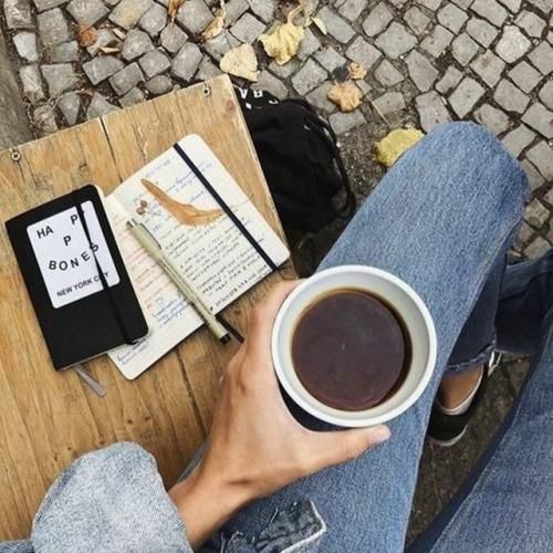 آهنگ نات کوینو نیستم همسترو آره 